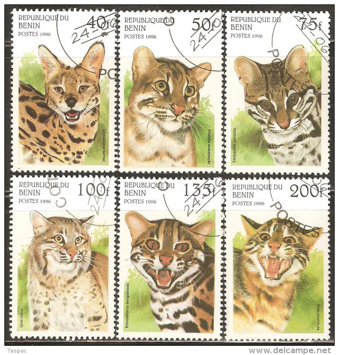 Benin 1996 Mi# 806-811 Used - Wild Cats - Raubkatzen