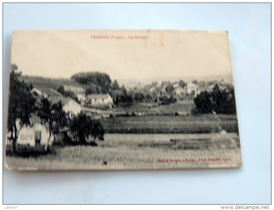 Carte Postale Ancienne : URIMENIL : Les Buissons - Urimenil