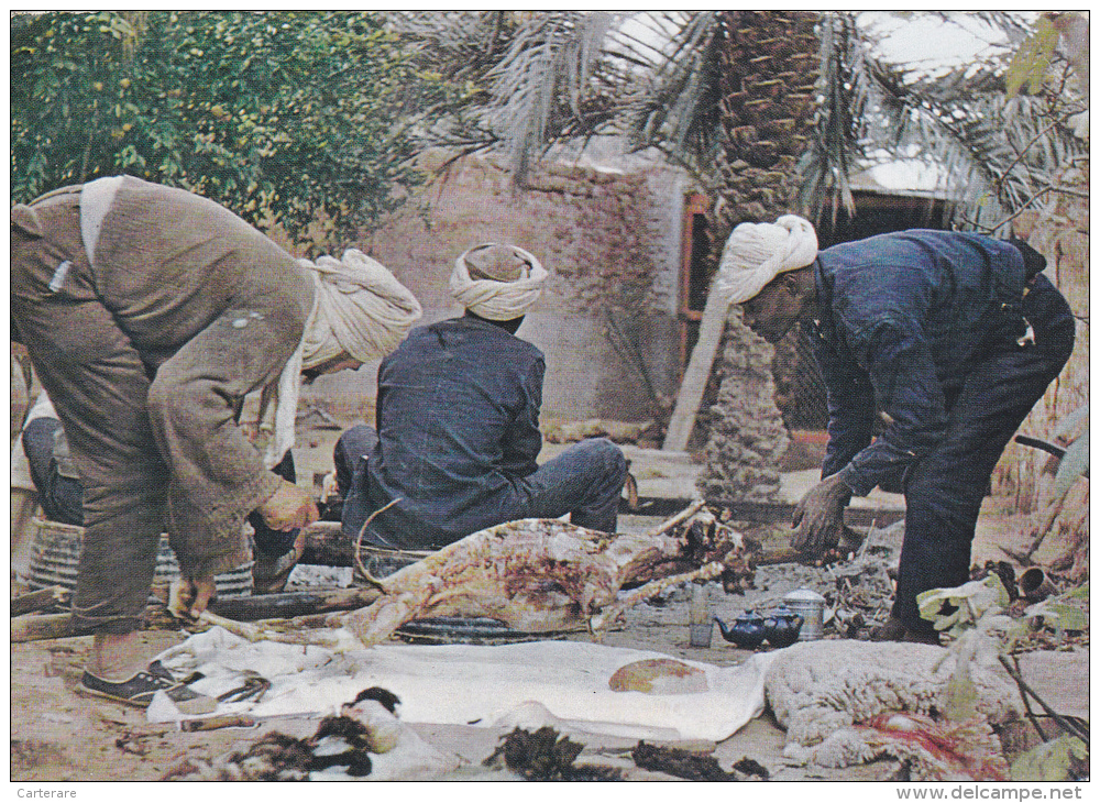 AFRIQUE,AFRICA, MAURITANIE,ex Colonie Française,prés Algérie,MALI,MECHOUI,ouvr Ier En Pause Casse Croute,barbecue - Mauritania