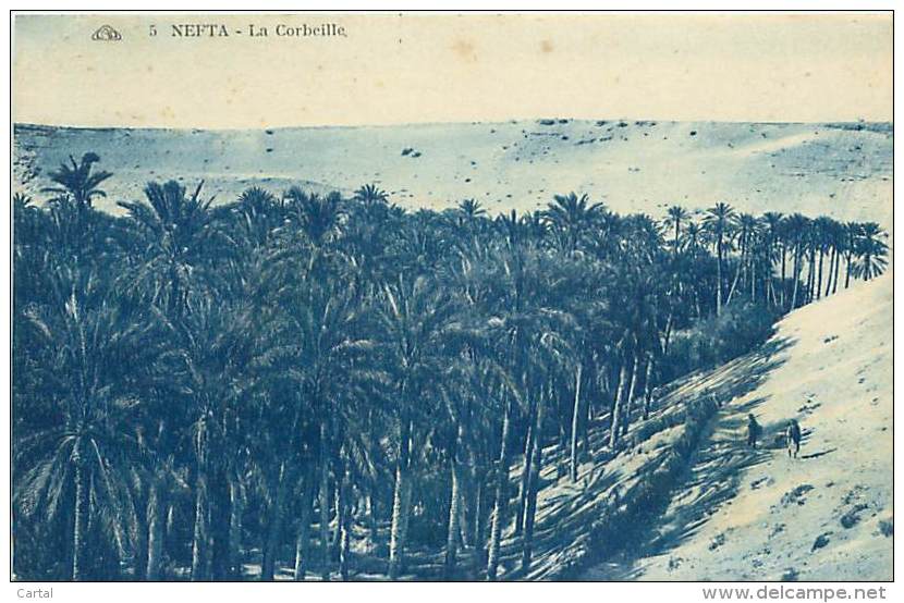 NEFTA - La Corbeille (CAP. 5) - Tunisie