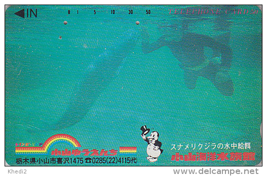 Télécarte Japon - Sport - PLONGEE & DAUPHIN - DIVING & DOLPHIN Japan Phonecard - TAUCHEN DELFIN Telefonkarte - 480 - Delfines