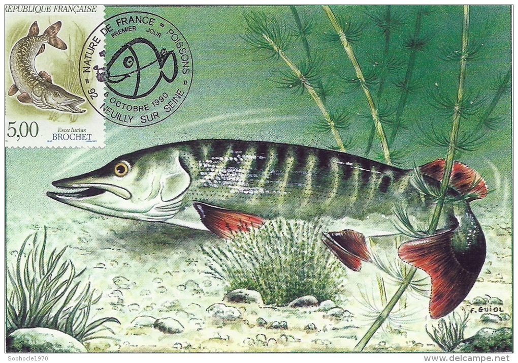 NATURE DE FRANCE - SERIE POISSONS - BROCHET - NEUILLY SUR SEINE - 1990 - 1990-1999