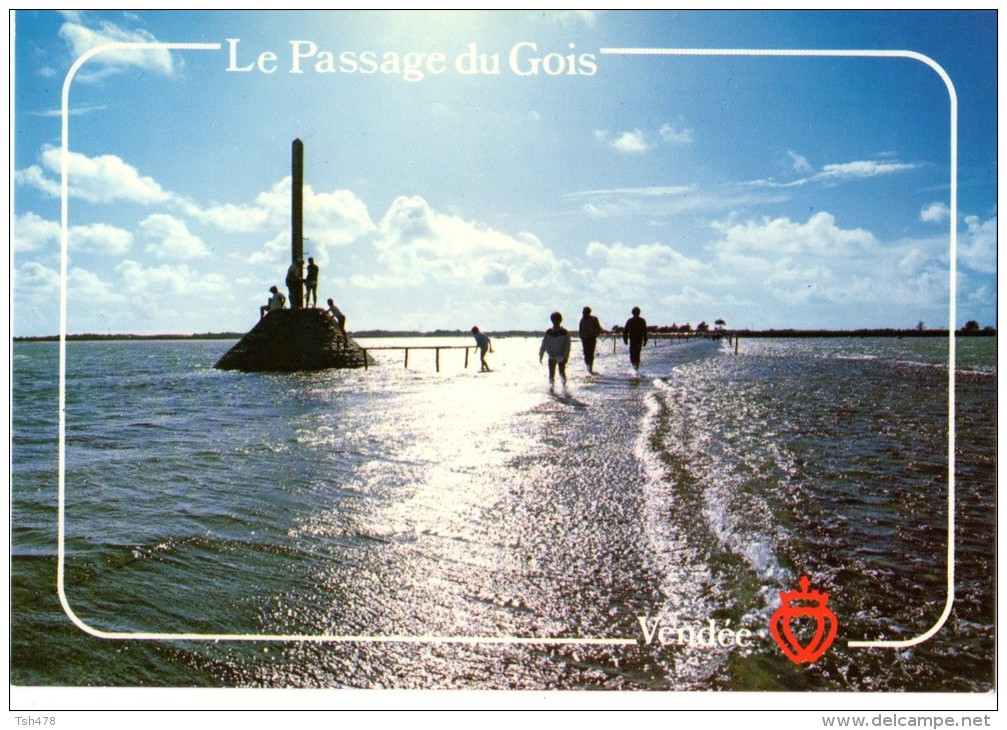 85---ILE DE NOIRMOUTIER---le Passage Du Gois Au Soleil Couchant---voir 2 Scans - Ile De Noirmoutier