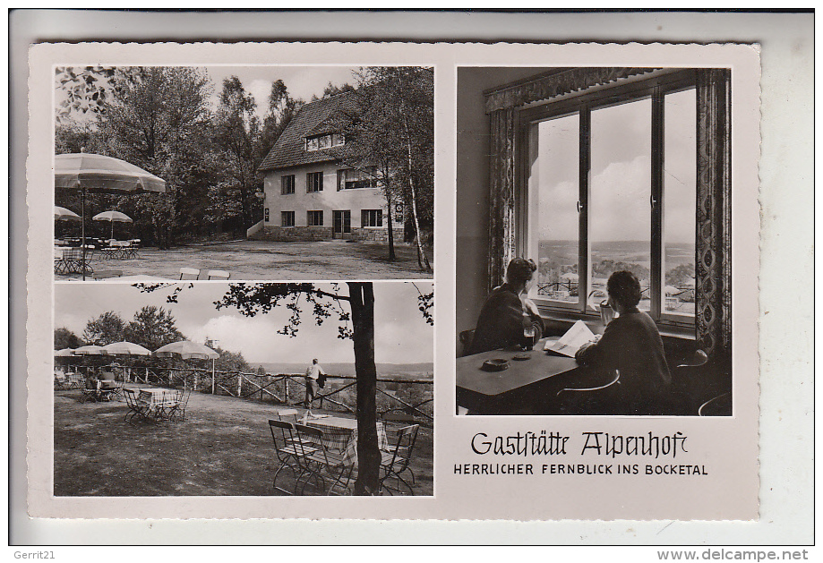 4530 IBBENBÜREN - SCHAFBERG, Gaststätte Alpenhof, 1954 - Ibbenbueren