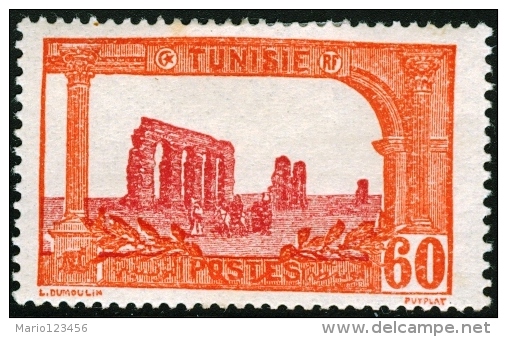 TUNISIA, FRENCH PROTECTORATE, ACQUEDOTTO ROMANO, 1925, FRANCOBOLLO NUOVO (MLH*), Mi 81, Scott 49, Yt 105 - Neufs