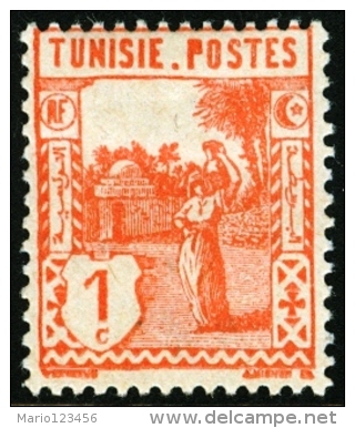 TUNISIA, FRENCH PROTECTORATE, USI E COSTUMI, 1926, FRANCOBOLLO NUOVO (MLH*), Mi 120, Scott 74, YT 120 - Neufs