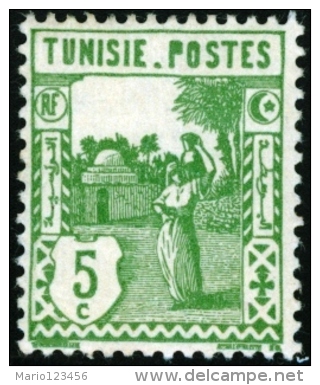 TUNISIA, FRENCH PROTECTORATE, USI E COSTUMI, 1926, FRANCOBOLLO NUOVO (MLH*), Mi 123, Scott 77, Yt 123 - Neufs