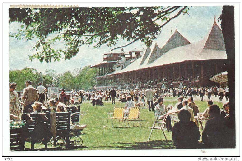 Saratoga, Part Of The Charm Of Historic Saratoga Race Track , Cpsm, Written New York 1966 , Paul Art Press - Saratoga Springs