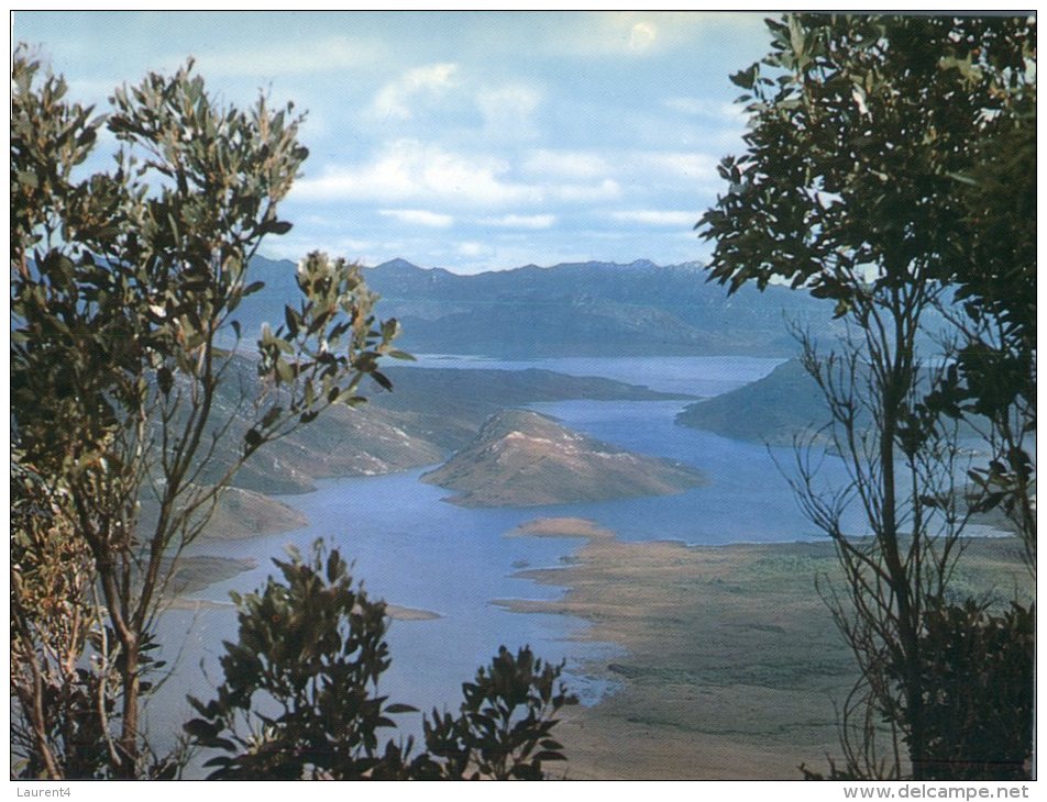 (900) Australia - TAS - New Lake Pedder - Wilderness