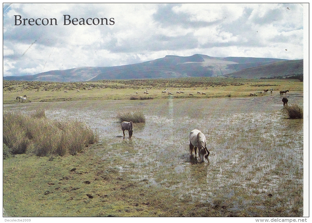 BT18447 Brecon Beacons From Mynydd Lilltud    2 Scans - Breconshire