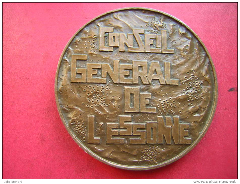 MEDAILLE  1975 BRONZE 282 GR SIGNEE  JL GIDART ???  CONSEIL GENERAL DE L´ESSONNE - Autres & Non Classés