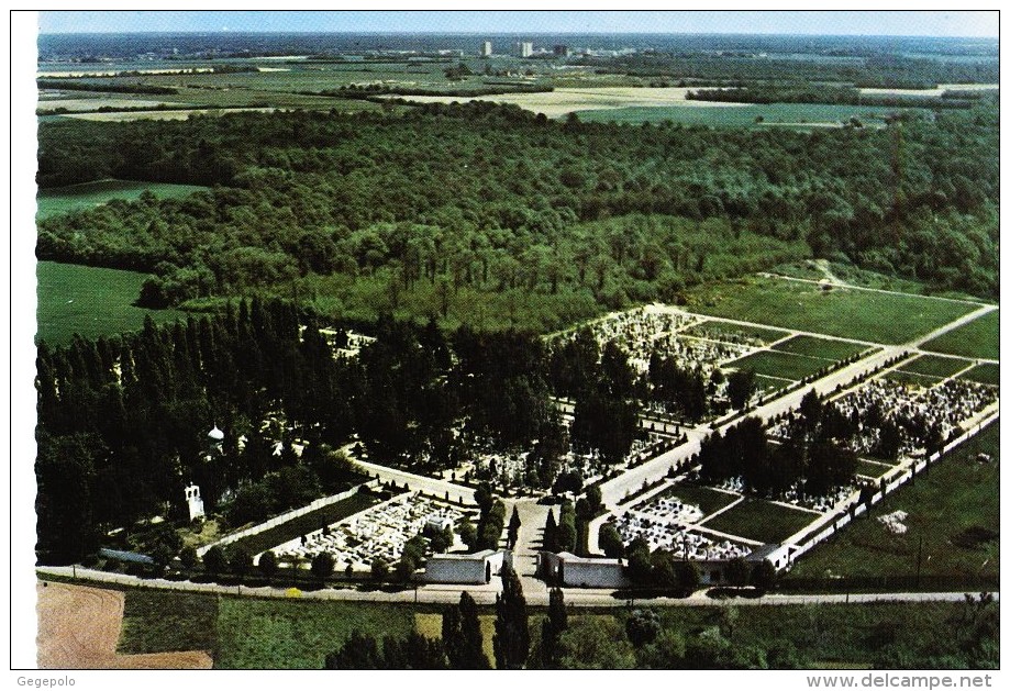 SAINTE -GENEVIEVE - Des - BOIS - Le Cimetière Russe - Sainte Genevieve Des Bois