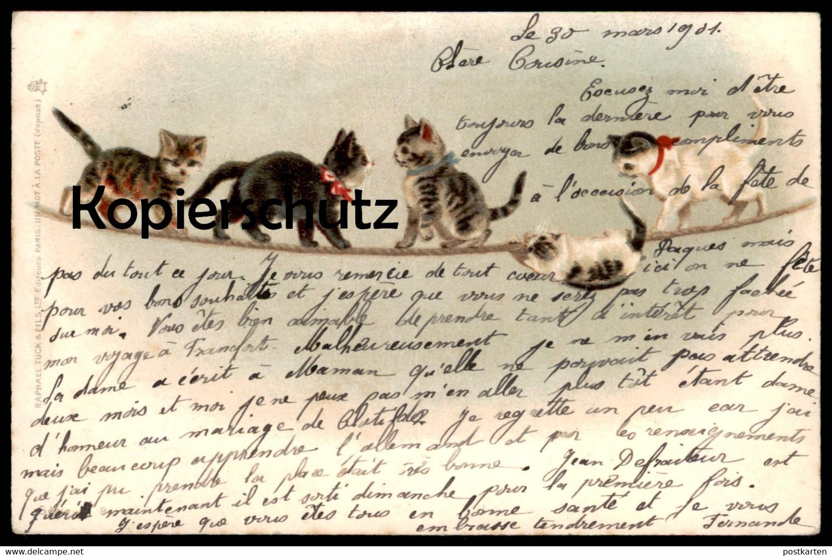 ALTE POSTKARTE CHATS RAPHAEL TUCK & FILS PARIS FIVE CATS HELENA J. MAGUIRE Cat Chat Katzen Katze Tucks Postcard Serie 9 - Gatos