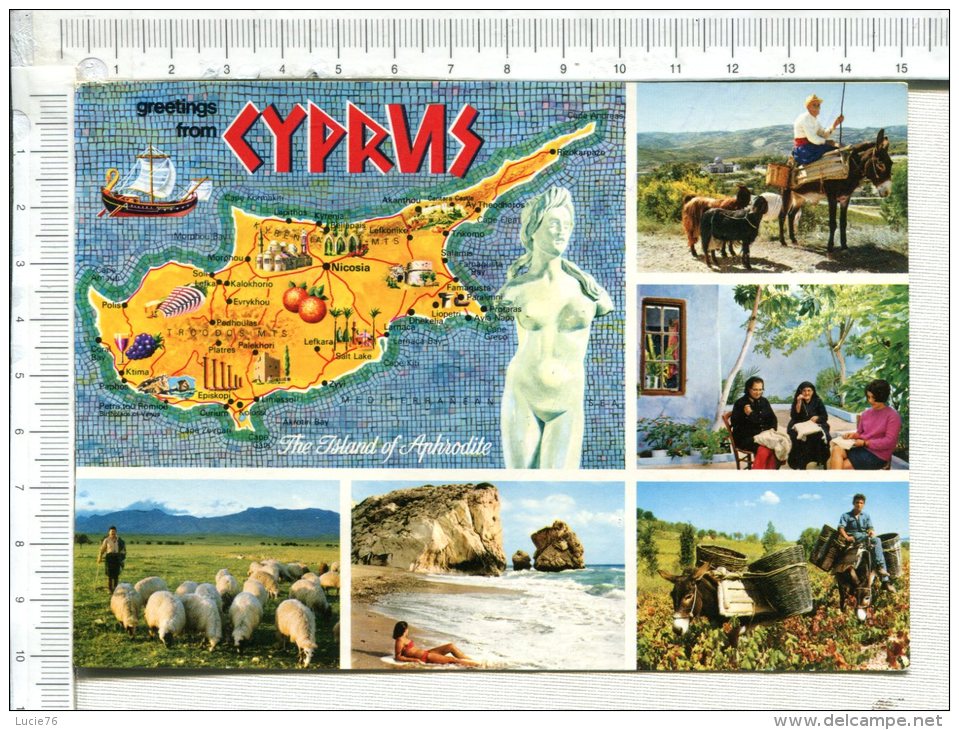CYPRUS  -  Greetings From Cyprus -  6 Vues - Chypre