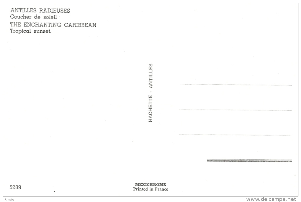 Antilles Radieuses  -  The Enchanting Caribbean  Tropical Sunset - Coucher De Soleil   A-3312 - Other & Unclassified