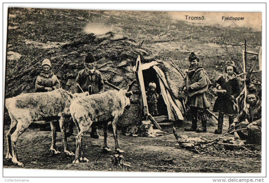 NORWAY   2 PC Tromsö  Fjeldlapper  Milking Reindeers  1 Chromo National Norv Song   2 Stereo Cards Fish Market Bergen - Cartes Stéréoscopiques