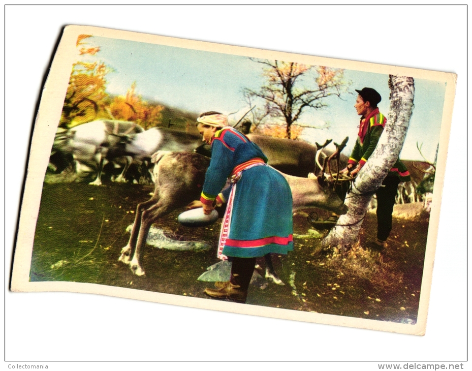 NORWAY   2 PC Tromsö  Fjeldlapper  Milking Reindeers  1 Chromo National Norv Song   2 Stereo Cards Fish Market Bergen - Cartes Stéréoscopiques