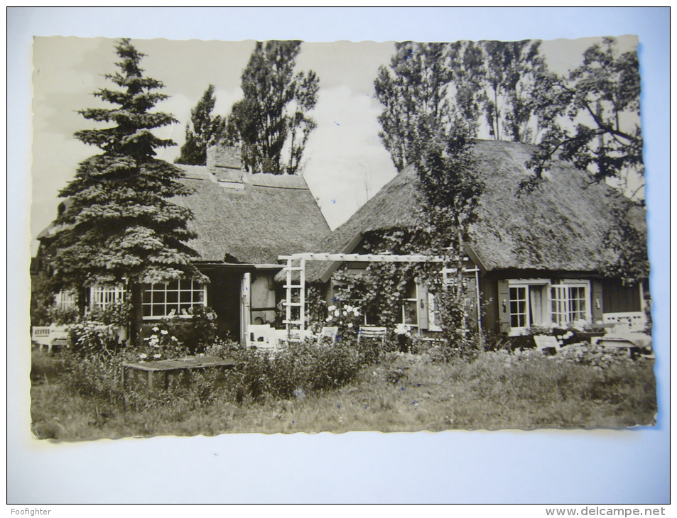 Germany: Ostseebad Zingst - Idylisches Wohnhaus - 1959 Used Small Format - Zingst