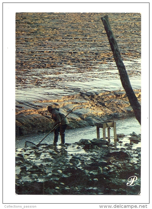 Cp, Poitou-Charentes, La Charente Maritime, écrite - Poitou-Charentes