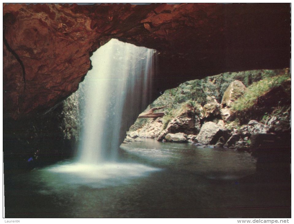 (800) Australia - QLD - Numinbah Valley Natural Bridge Waterfall - Atherton Tablelands