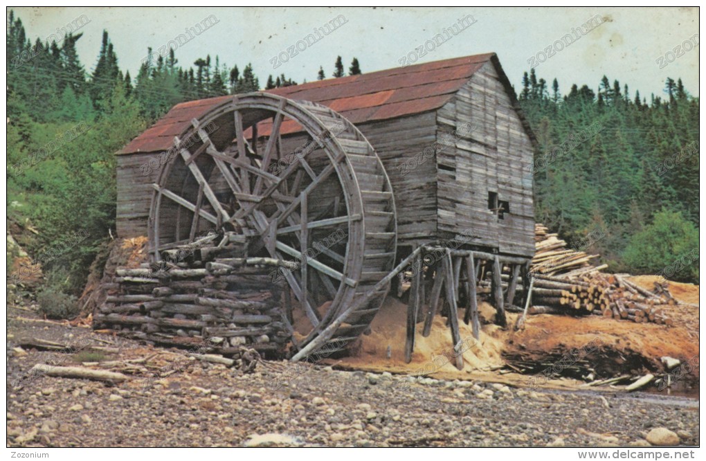 DEEP BIGHT-TRINITY BAY Canada  Newfoundland Water Wheel , Old  Photo Postcard - St. John's