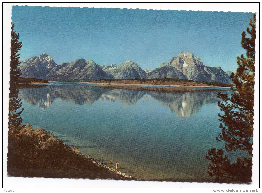 CP, ETATS UNIS, WYOMING, GRAND TETON NATIONAL PARK, Voyagé En 1973 - Autres & Non Classés