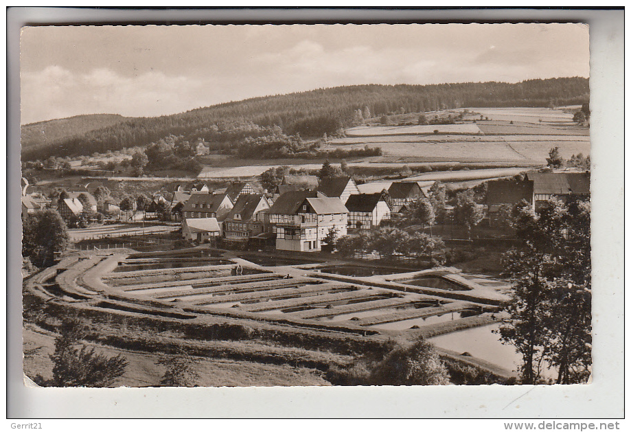 5942 KIRCHHUNDEM - ALBAUM, Blick Auf Teichanlagen Der Landesfischanstalt, 1958 - Olpe