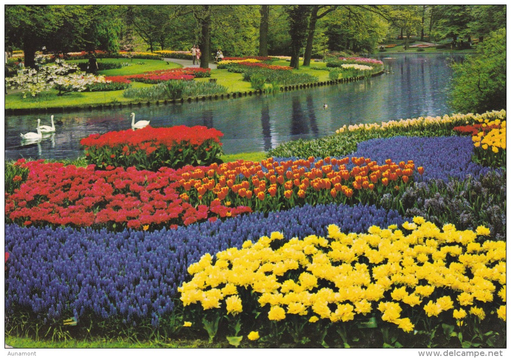 Holanda--Parque De Flores--1978--Zelanda---Milddenburg-a, Ginestas, Francia - Lisse