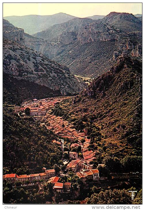 SAINT GUILHEM LE DESERT  VUE GENERALE - Autres & Non Classés