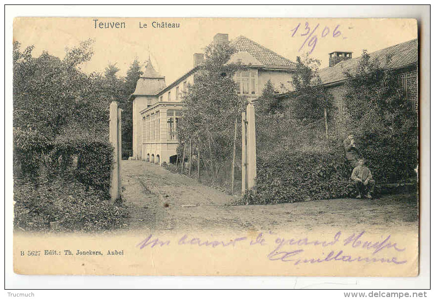 E3537 -  Teuven - Le Château - Fourons - Voeren