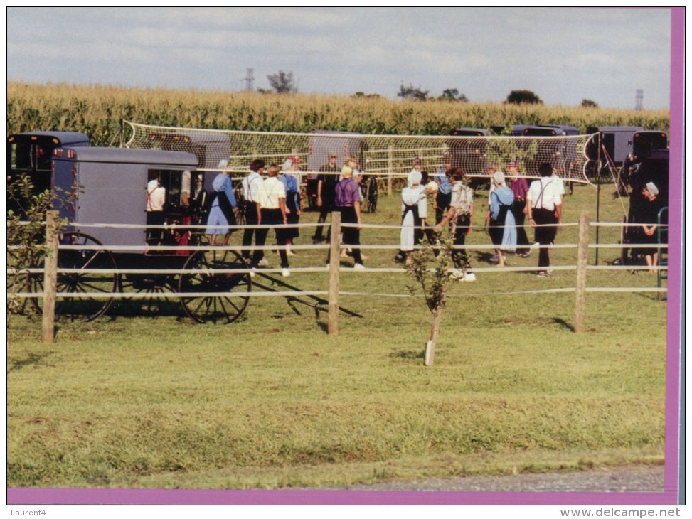 (999) USA - Amish Country - Horse Carriage Playing Handball - Handball