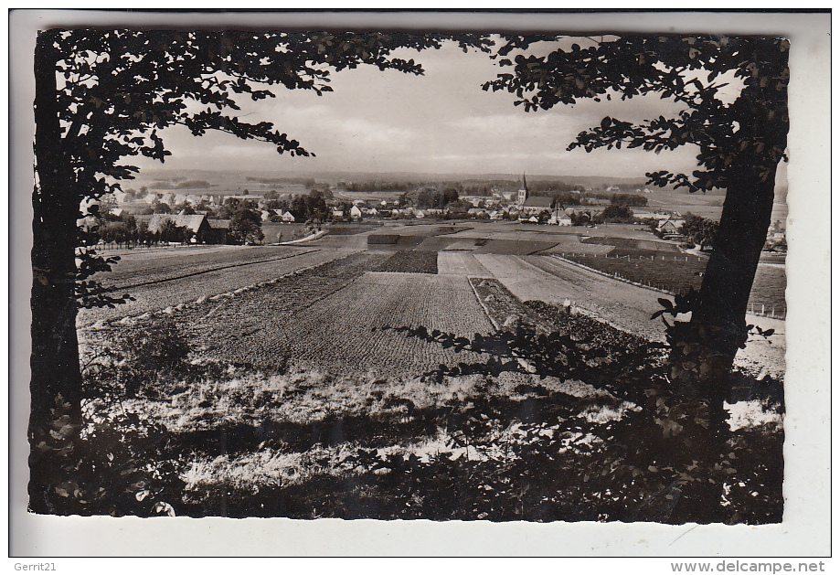 4520 MELLE - WELLINGHOLZHAUSEN, Blick Vom Campingplatz, 1963 - Melle