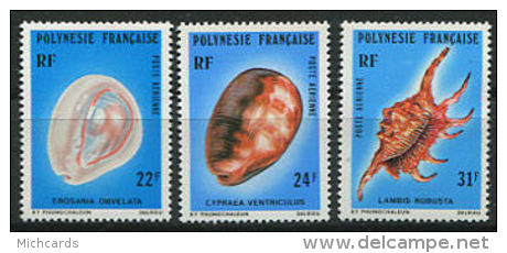 POLYNESIE 1978 - Coquillages (Yvert A 132/34) Neuf ** (MNH) Sans Trace De Charniere - Neufs