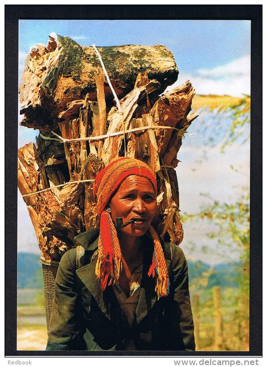 RB 956 - Ethnic Vietnam Postcard - Fetching Firewood - Man Or Woman? Smoking Pipe - Vietnam