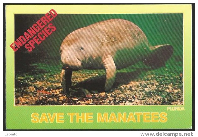 SAVE THE MANATEES Sea Cow Endangered Species Ft. Myers Florida USA 1993 - Hippopotamuses