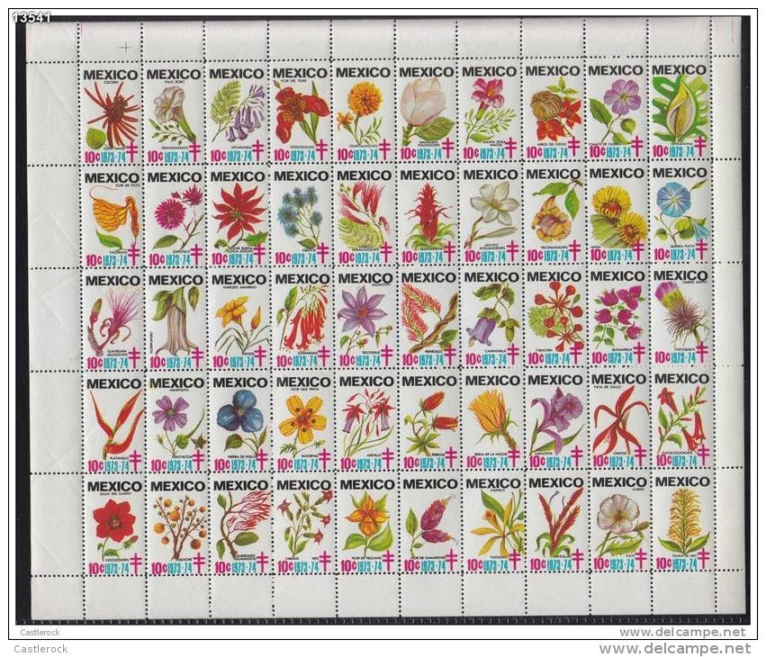 RA)1973 MEXICO, MEXICAN FLOWERS FULLSHEET MNH TB SEALS TUBERCULOSIS, MNH - Mexico