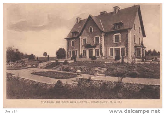 54-30094 -   CHAMBLEY   -   CHATEAU DU BOIS DES HARTS - Chambley Bussieres