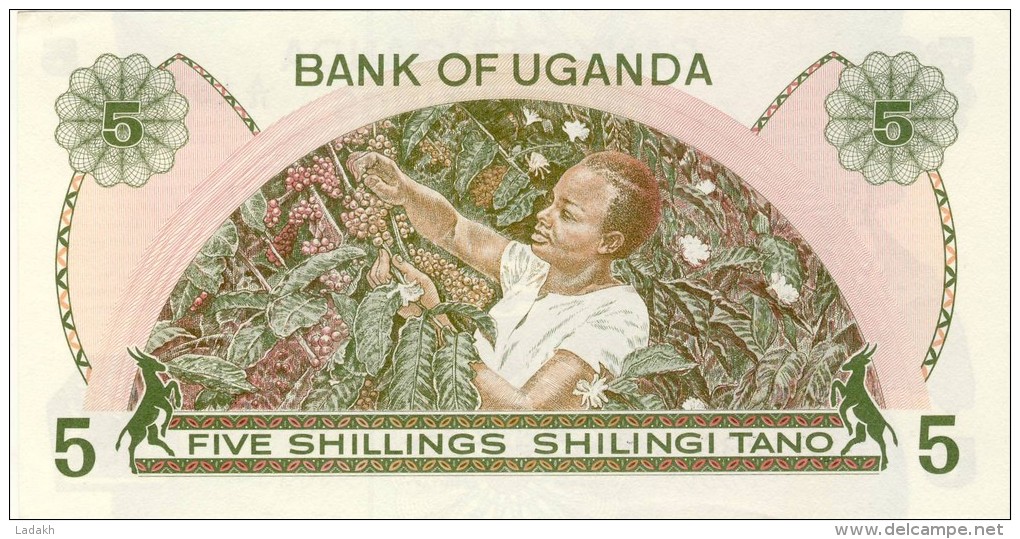 BILLET # OUGANDA  #1982 # 5 SHILLINGS  # PICK 15  # NEUF # - Oeganda