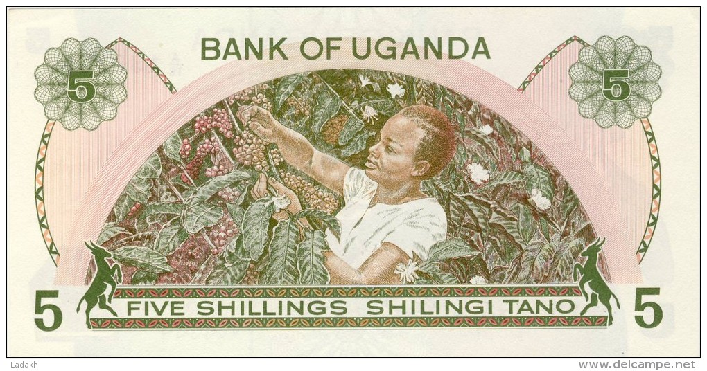 BILLET # OUGANDA  #1982 # 5 SHILLINGS  # PICK 15  # NEUF # - Ouganda