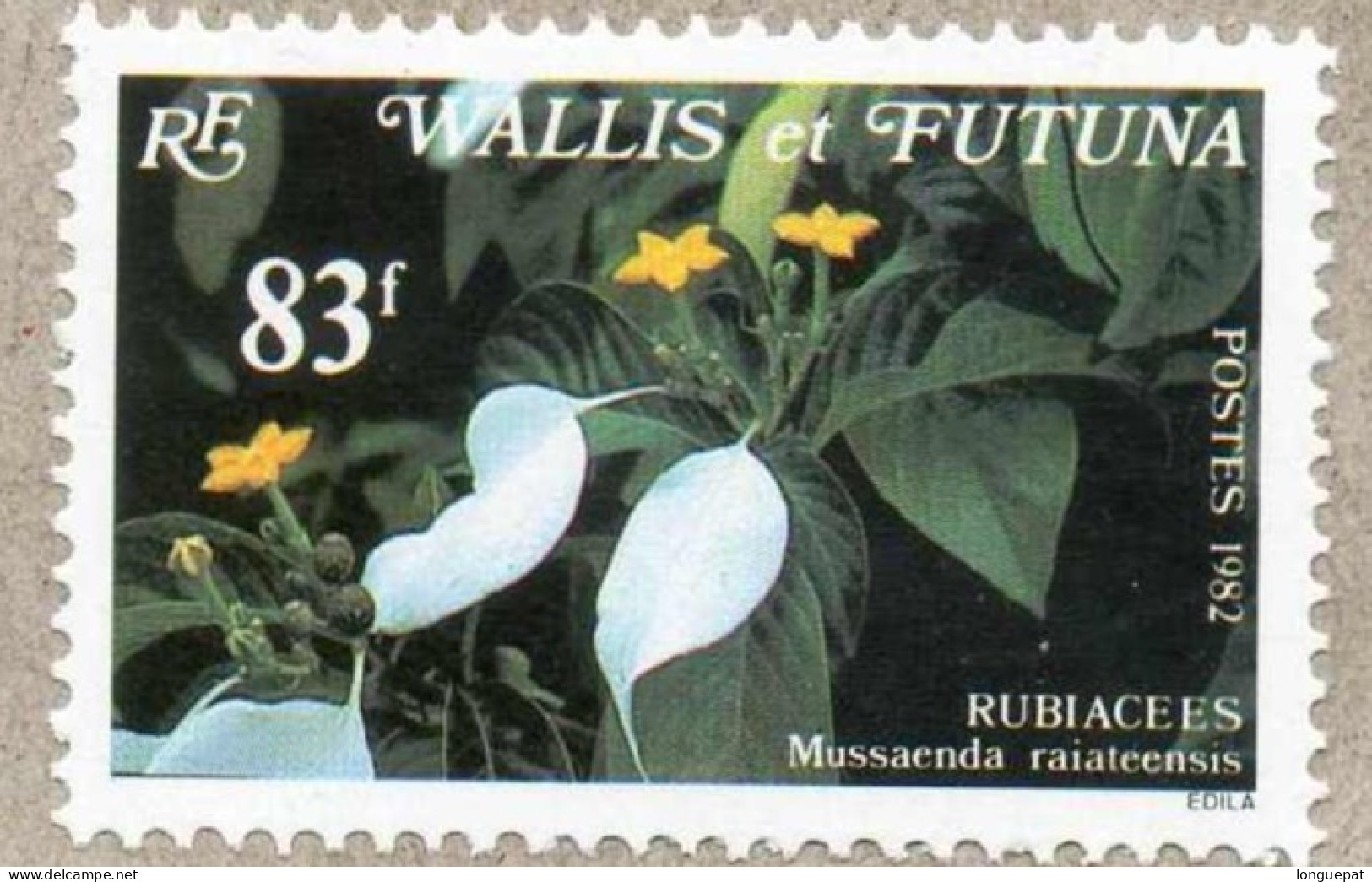Wallis Et Futuna : Rubiaceéc : Mussaenda Raiateensis- Famille Des Rubiaceae - Flore - Fleurs - - Neufs