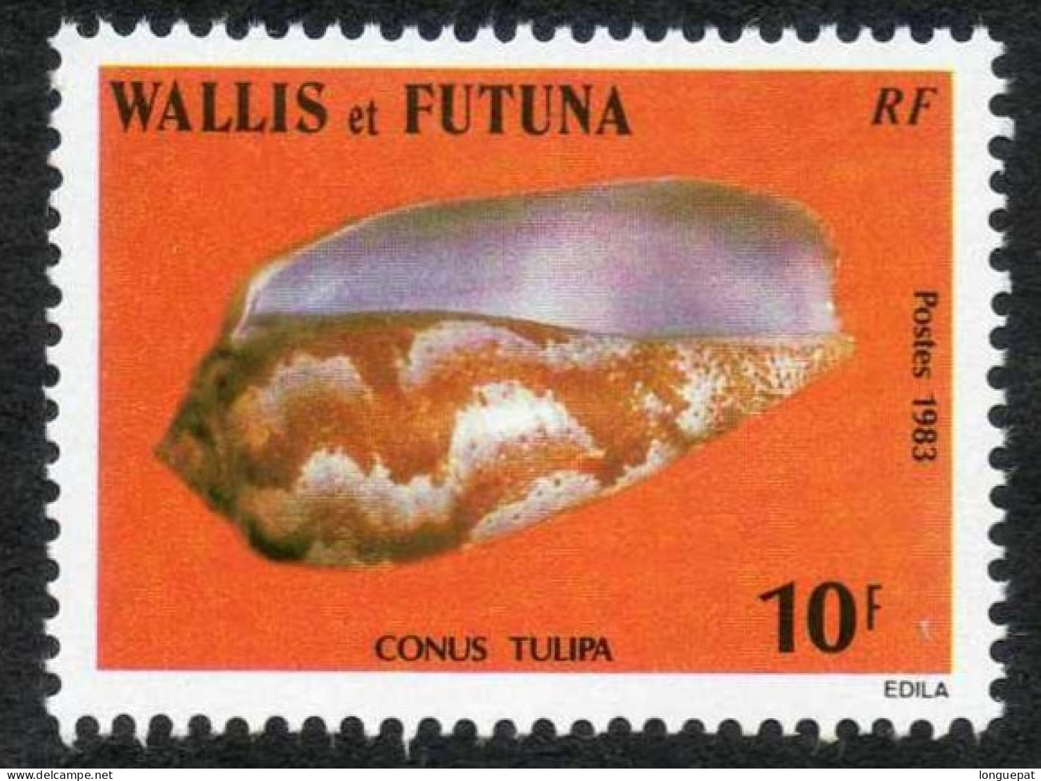 Wallis Et Futuna : Coquillages : Cone (Coneus Tulips) - Faune Marine - Gastéropode - Neufs
