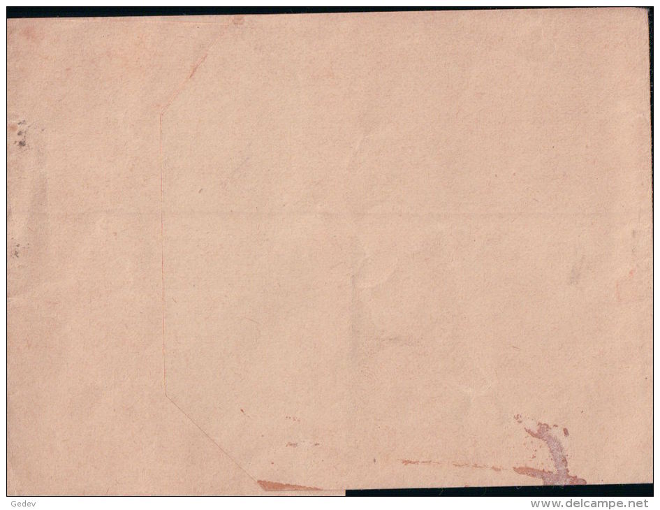 Entier Postal Argentine Bande Pour Journaux (4611) - Postal Stationery