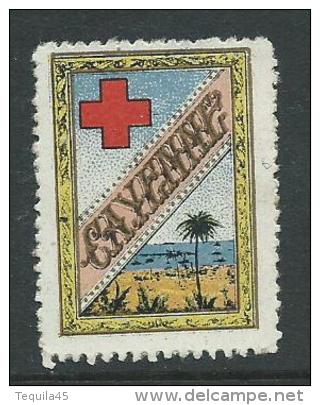 Vignette DELANDRE France Comité De CAYENNE Guyane 1914 Red Cross WWI WW1 Cinderella Poster Stamp - Croix Rouge