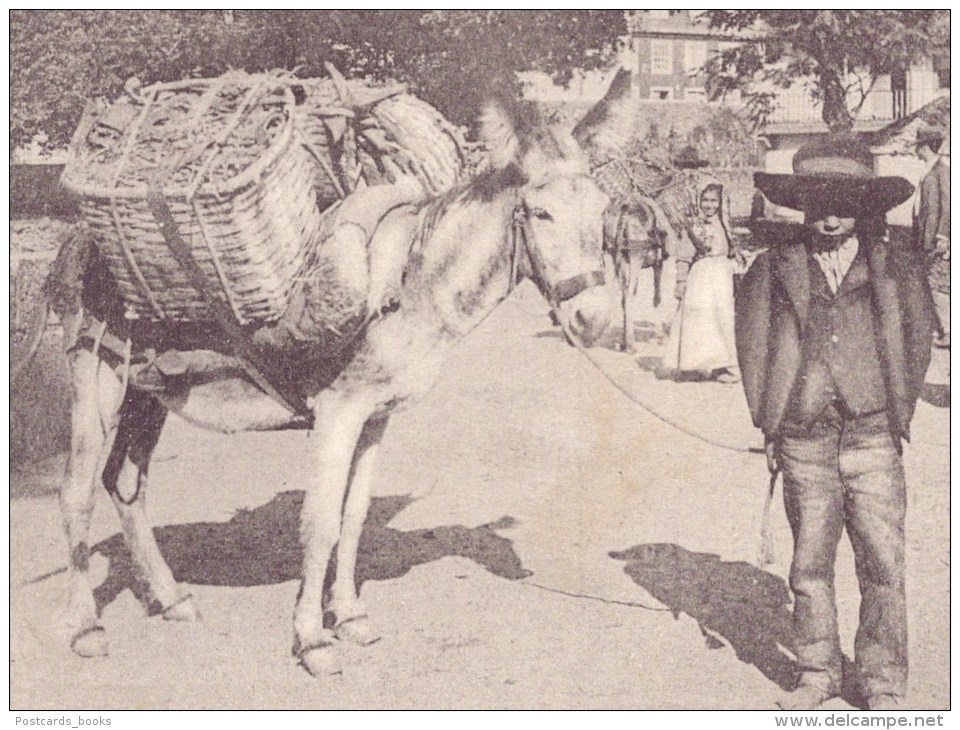 UNHAES/UNHAIS DA SERRA / COVILHÃ / CASTELO BRANCO / PORTUGAL.Costumes Jovem Vendedor De Fruta. Burro. Postal N&ordm; 5. - Castelo Branco