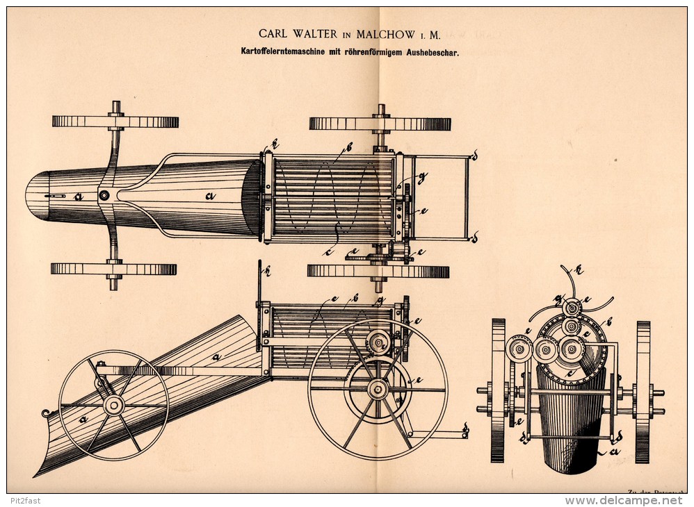 Original Patentschrift - Carl Walter In Malchow I. Meckl., 1894 , Kartoffelerntemaschine , Landwirtschaft , Agrar !!! - Maschinen