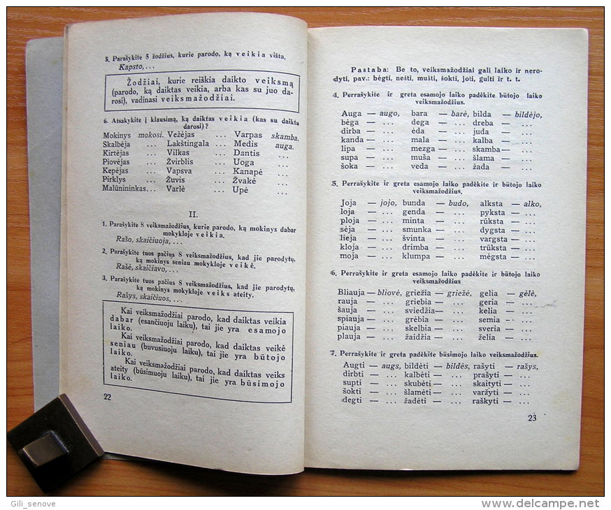 Lithuanian Book /Lietuviu Kalbos Gramatika (Lithuanian Grammar) 1931 - Oude Boeken
