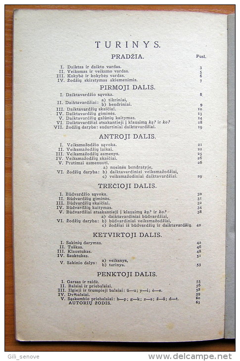 Lithuanian Book /Lietuviu Kalbos Gramatika (Lithuanian Grammar) 1931 - Livres Anciens