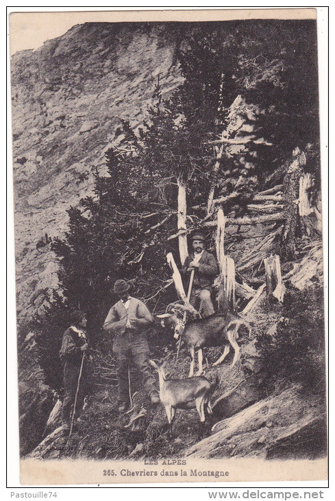 LES  ALPES.  265.  Chevriers  Dans  La  Montagne - Autres & Non Classés