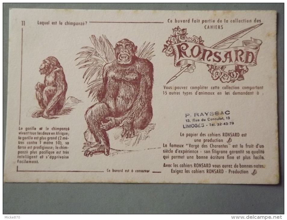 Buvard Ronsard Chimpanzé - R