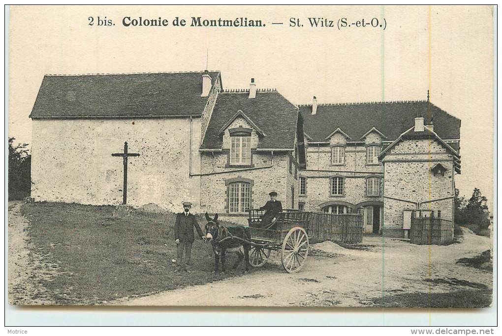 SAINT WITZ  - Colonie De Montmélian. - Saint-Witz